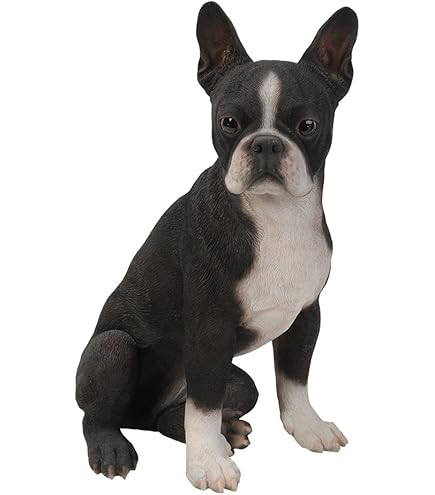 Amazon.co.jp: Veronese Design 2 5/8インチ ボストンテリア